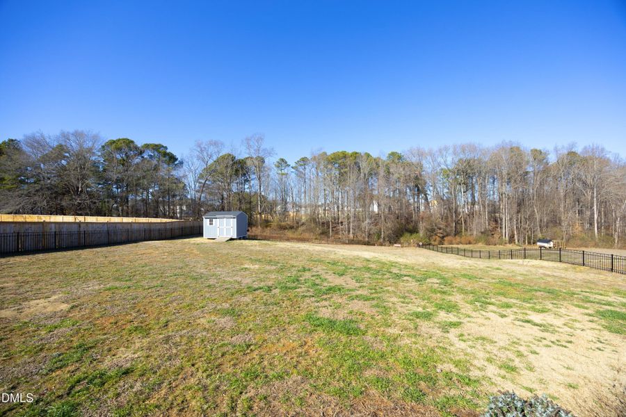 43BackYard 43BackYard