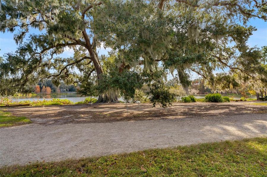 Natural landscape and outdoor views near Oakland Park in Winter Garden (Image 46).