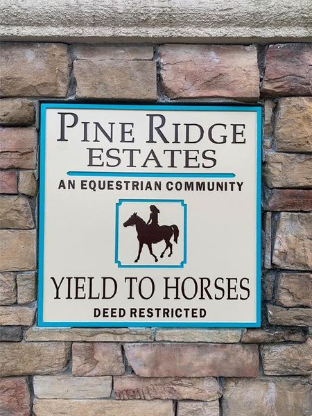 Front exterior of a new home in Pine Ridge, Beverly Hills, FL, highlighting curb appeal (Image 2).