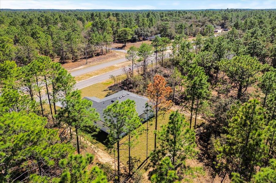 Natural landscape and outdoor views near  in Citrus Springs (Image 35).