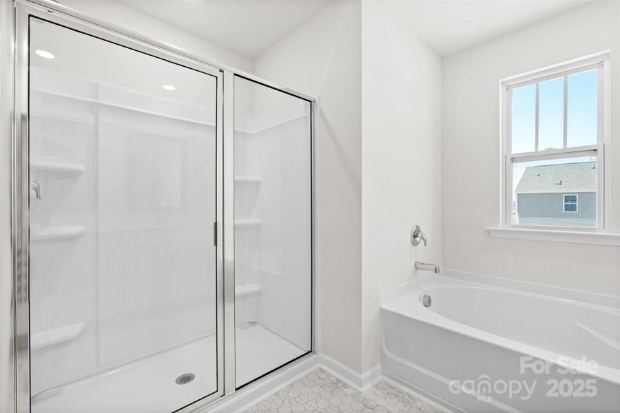 Photos are representative