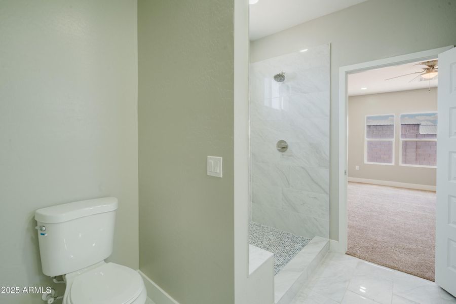 9893Sunbird-16 9893Sunbird-16