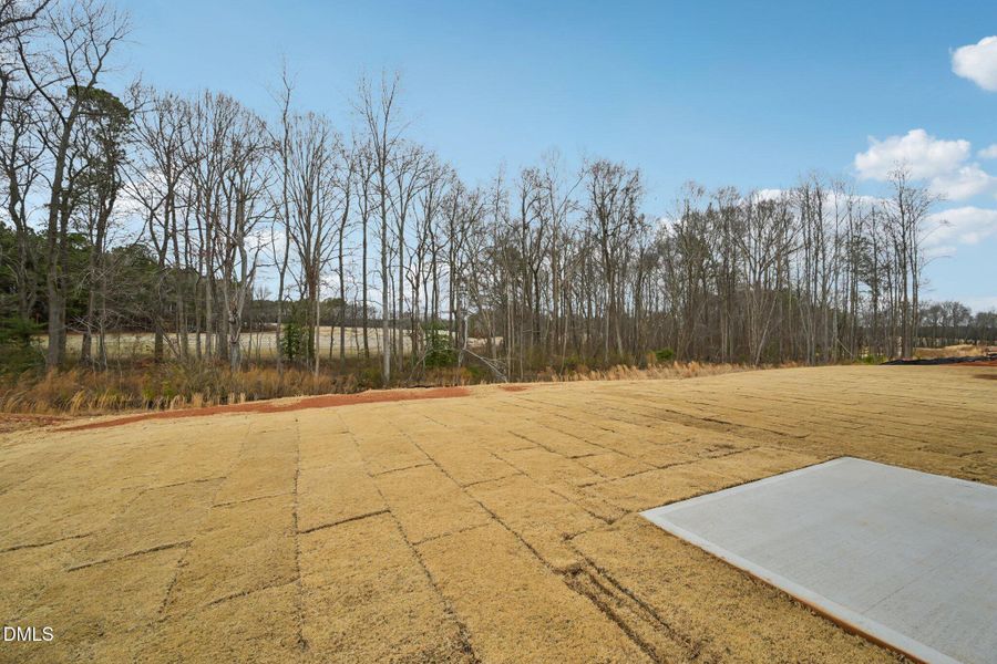 45-web-or-mls-Salers Loop-S1902-045