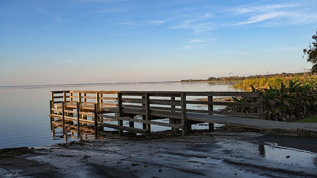 Natural landscape and outdoor views near Esplanade at McKinnon Groves in Winter Garden (Image 32).