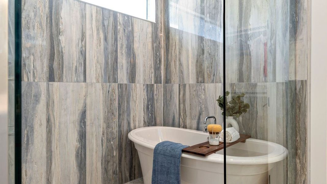 Owner's Bath Shower