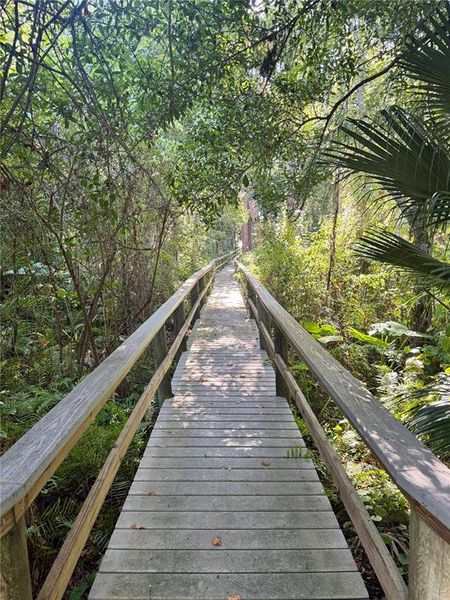 Natural landscape and outdoor views near in Tarpon Springs (Image 10). Natural landscape and outdoor views near in Tarpon Springs (Image 10).
