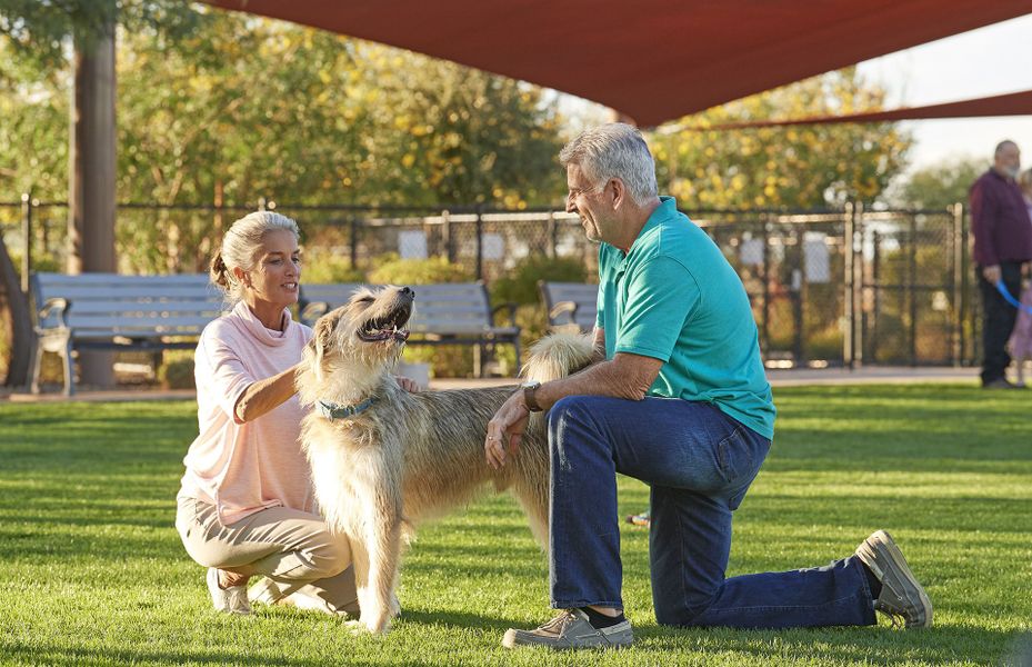 Community Dog Park Now Open