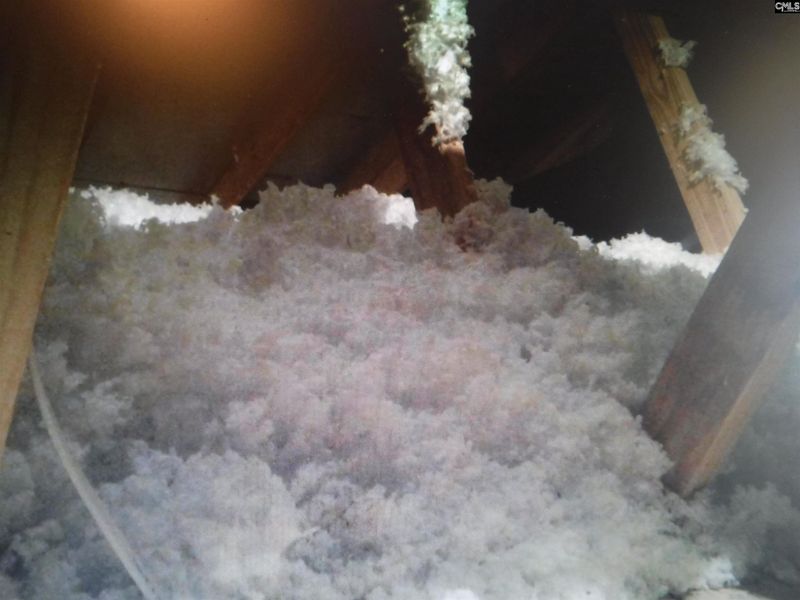 Image 34 of a home in Peachtree Hills. Image 34 of a home in Peachtree Hills.