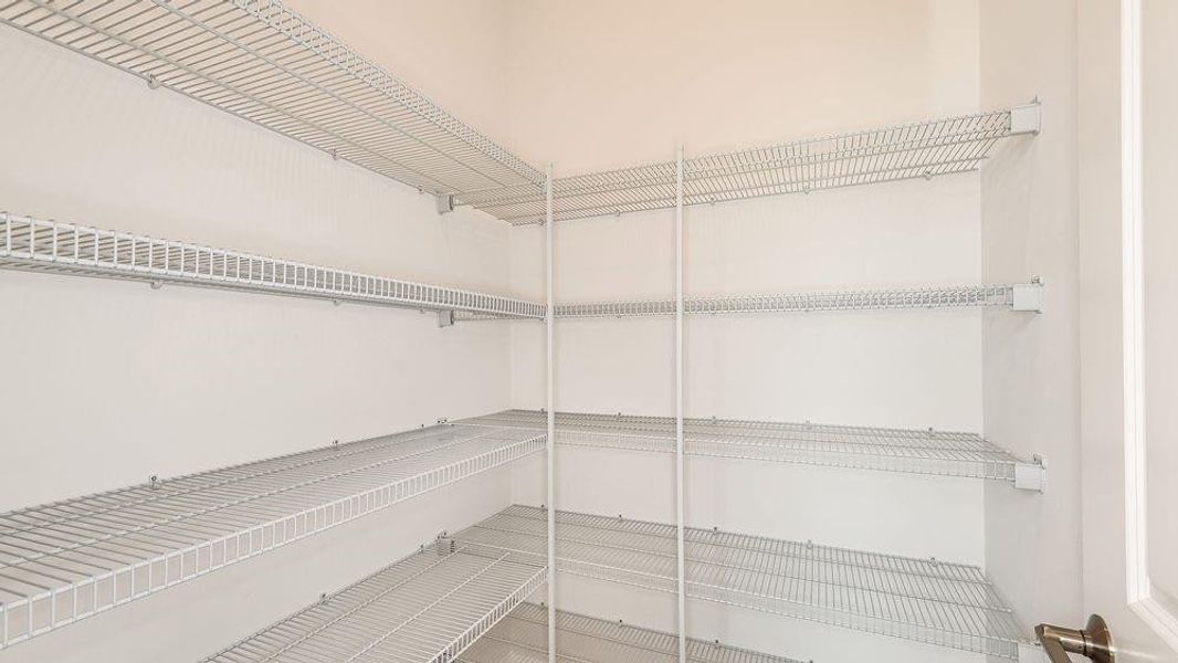 REPRESENTATIVE PHOTO