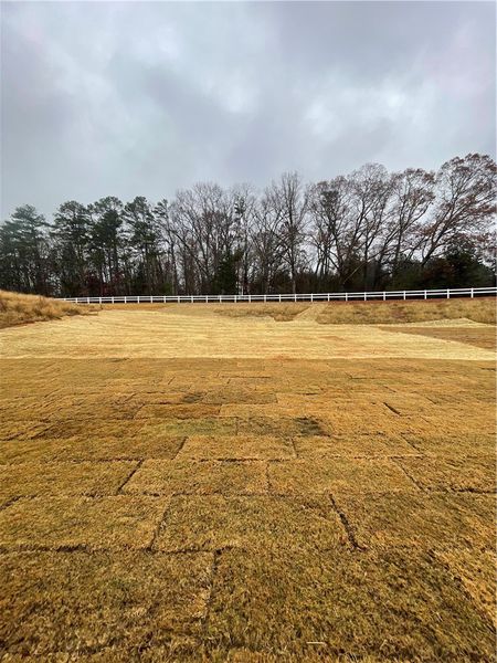 Image 42 of a home in Springwood Grove.