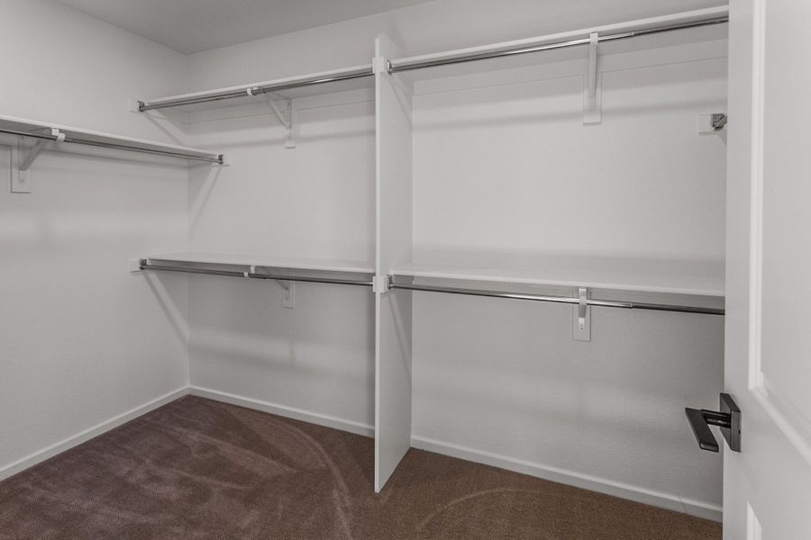 Spacious, unfurnished interior of a new home in Trailside, Timnath (Image 24).