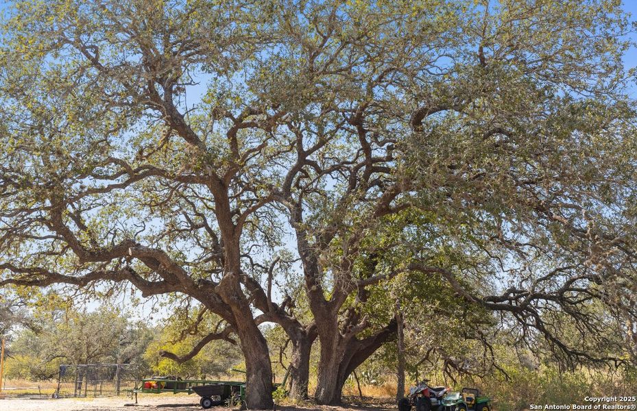 Natural landscape and outdoor views near  in Devine (Image 6).
