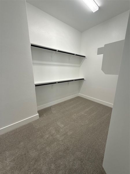 Walk-in Closet in Primary Bedroom
