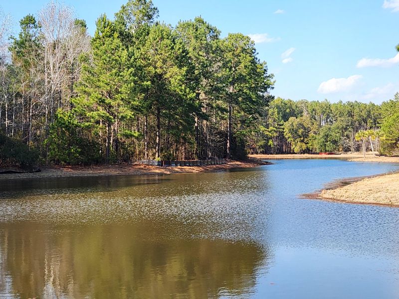 Natural landscape and outdoor views near in Yemassee (Image 57). Natural landscape and outdoor views near in Yemassee (Image 57).