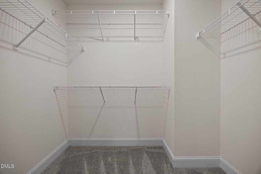 60-web-or-mls-IMG_0985