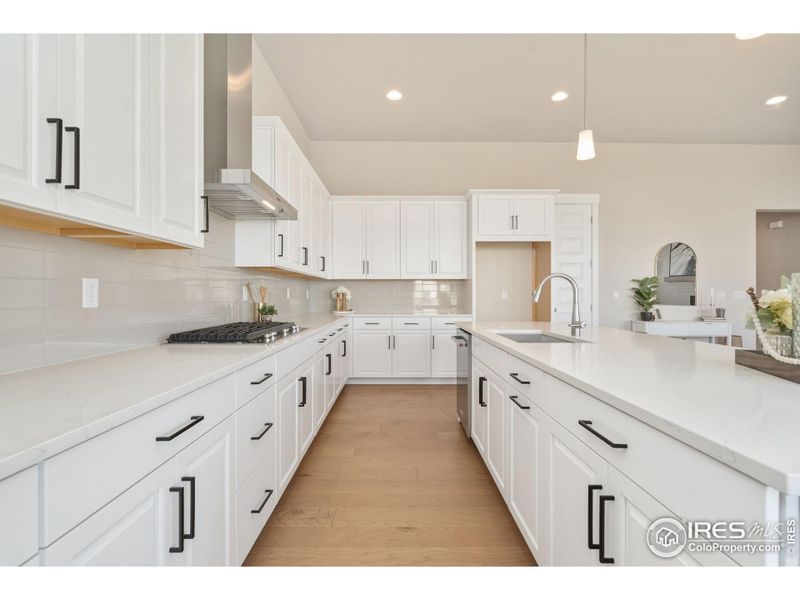 New Venatino quartz countertops-ideal for prepping dishes!