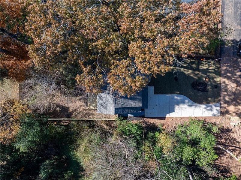 Natural landscape and outdoor views near  in Decatur (Image 33).