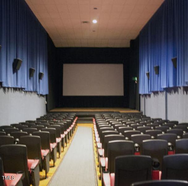 Movie Theater4