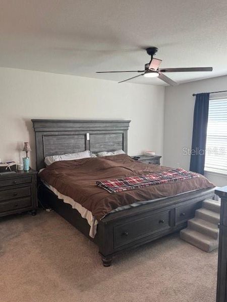 Furnished interior view inside a new home in Knights Landing, Lakeland (Image 28).