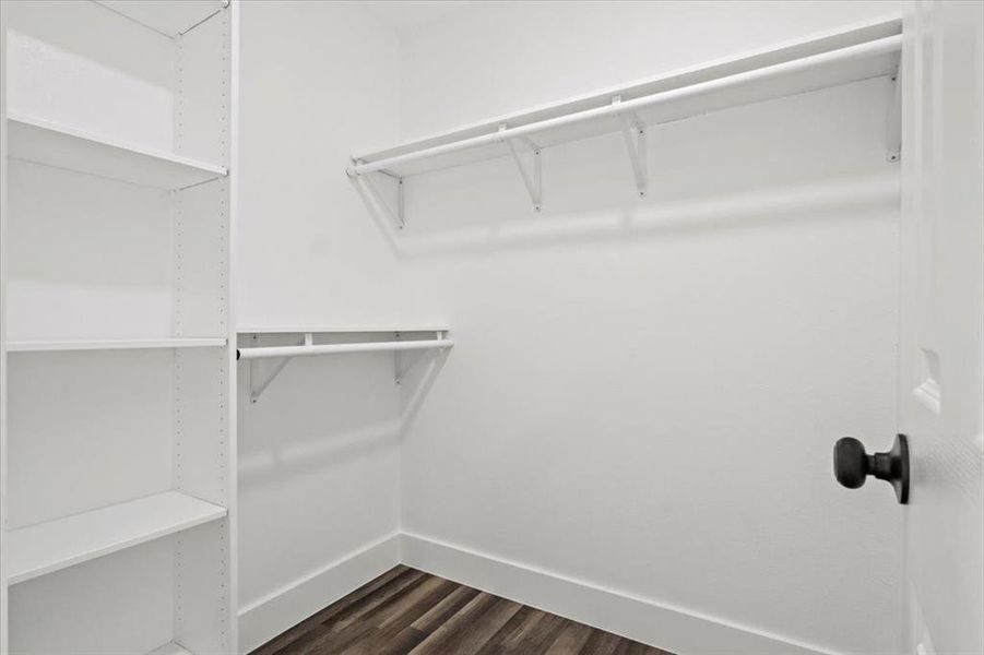 Spacious closet featuring dark hardwood / wood-style floors