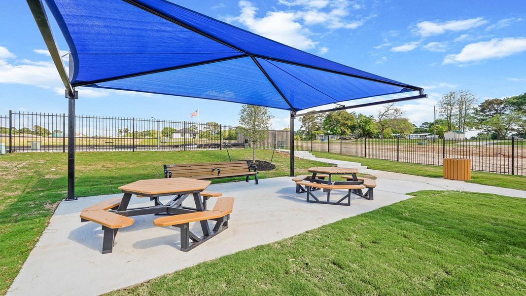 Community amenities in Lake Conroe Cove, Willis (Image 24).