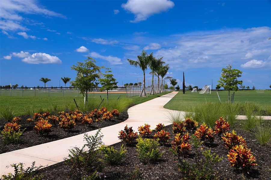 Community amenities in Skye Ranch Community Group Page, Sarasota (Image 16). Community amenities in Skye Ranch Community Group Page, Sarasota (Image 16).