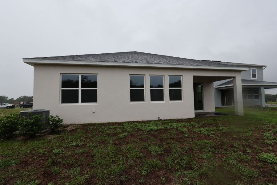 Back Exterior