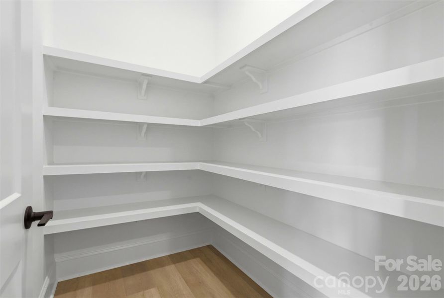 walk in pantry w/ wooden shelves
