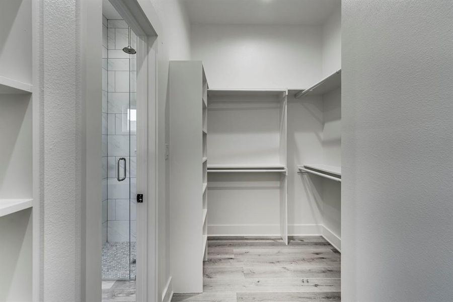 Spacious closet featuring light wood-type flooring