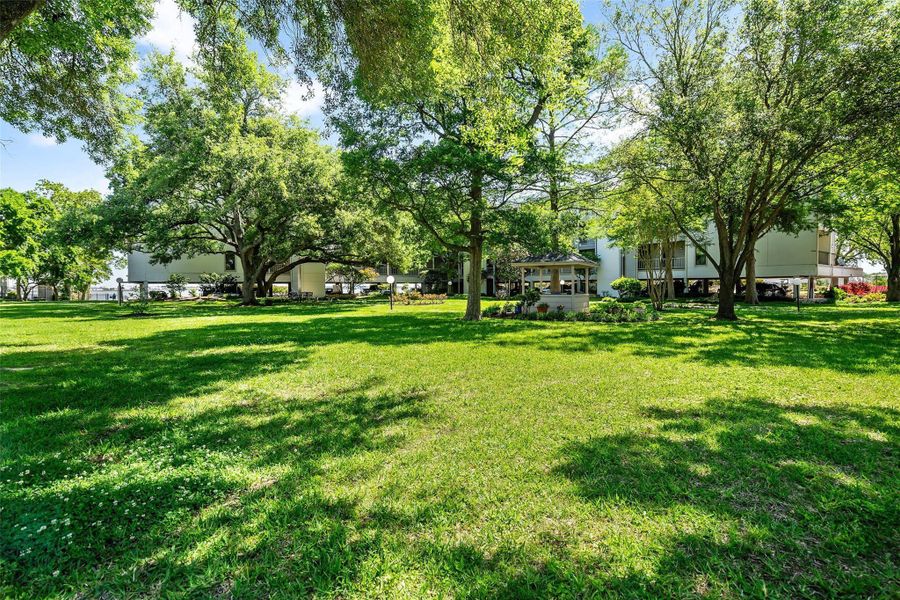Natural landscape and outdoor views near  in Houston (Image 7).