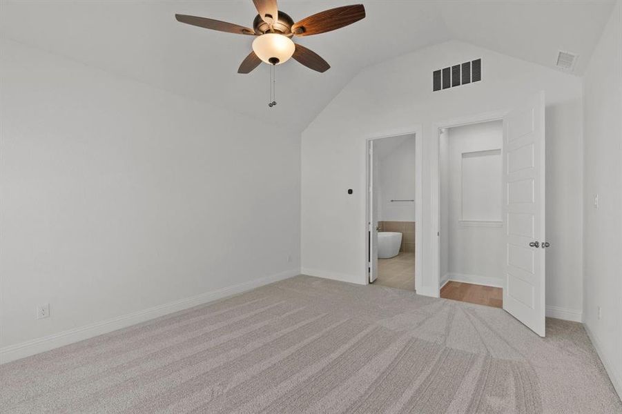 DAL_Painted Tree_Mineola_3916 Attwater Street (22)