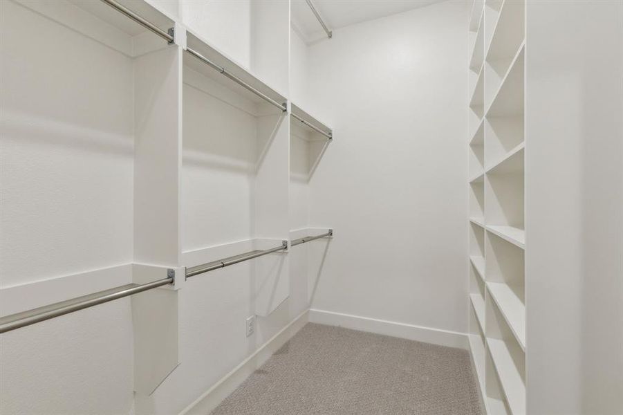 Spacious closet with light carpet