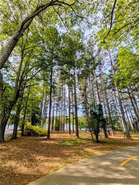 Natural landscape and outdoor views near Canterbury Villas in Carrollton (Image 36).