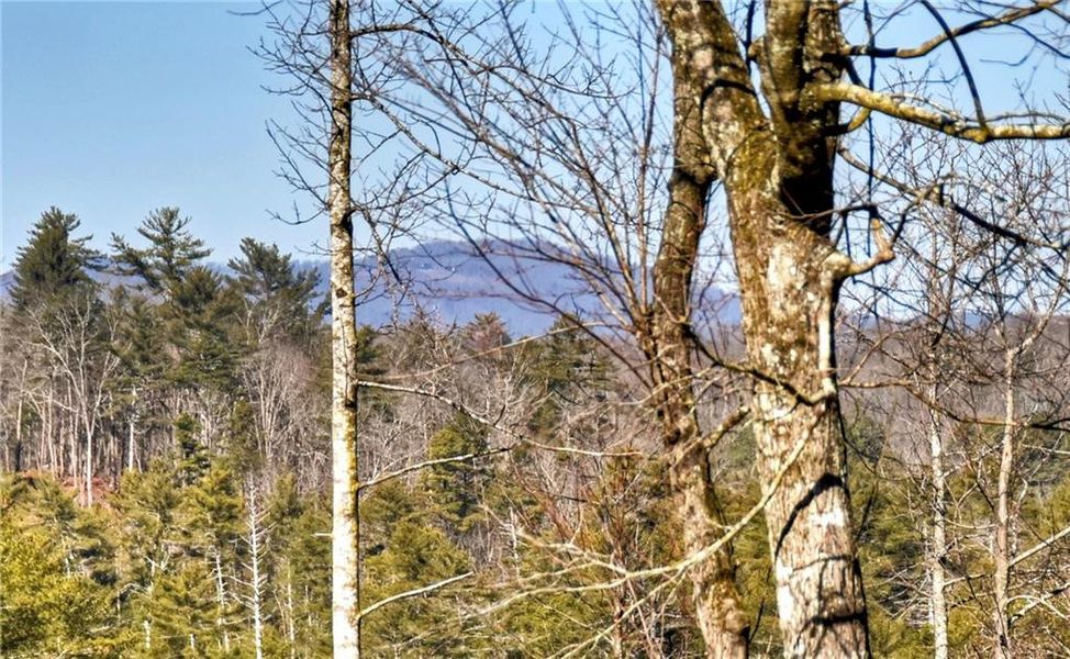 Natural landscape and outdoor views near  in Ellijay (Image 48).