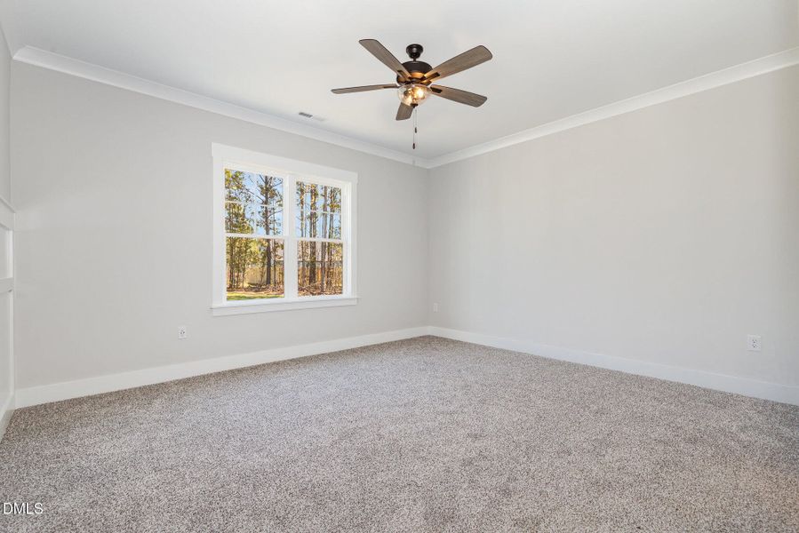 017_img_4504-edit_600 017_img_4504-edit_600