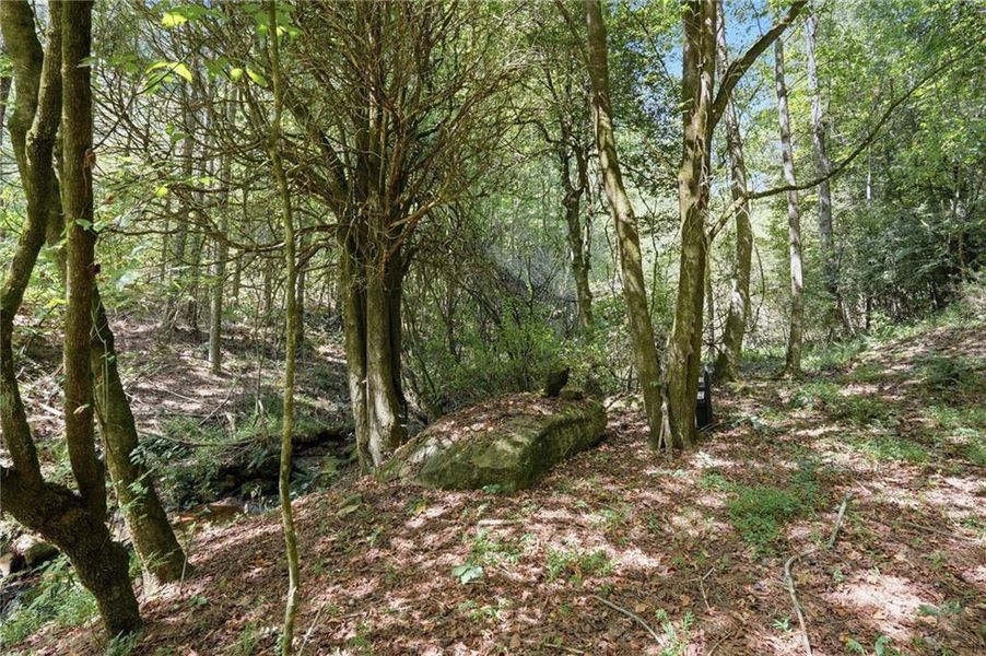 Natural landscape and outdoor views near  in Ellijay (Image 50).