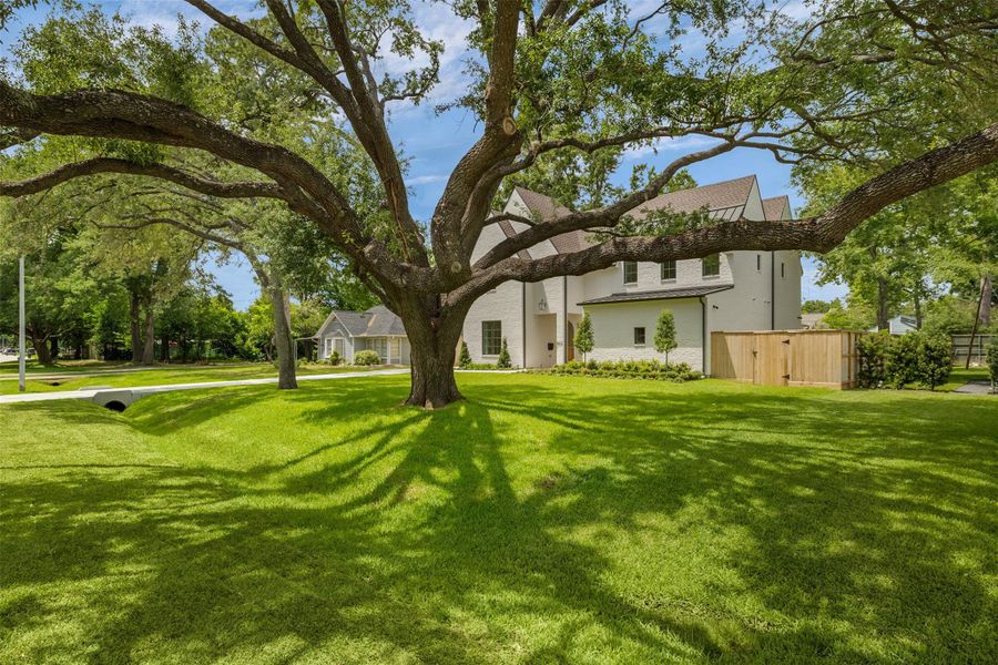 Natural landscape and outdoor views near  in Houston (Image 47).