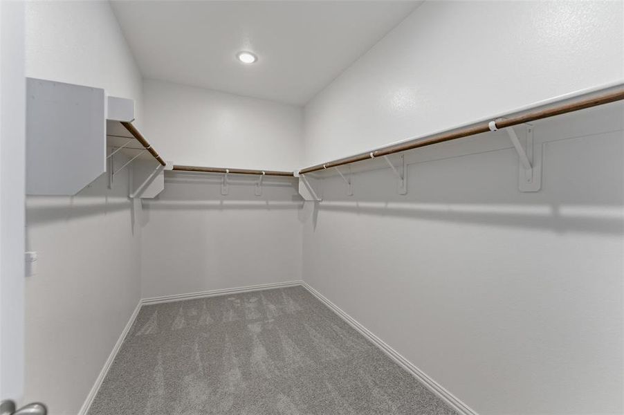 Walk in closet featuring carpet flooring