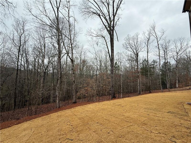 Natural landscape and outdoor views near  in Jefferson (Image 59).