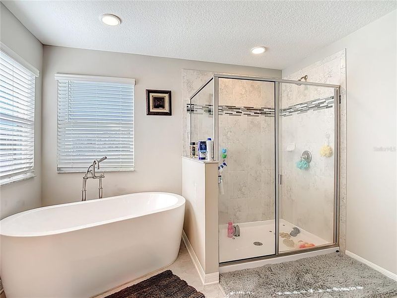 Furnished interior view inside a new home in Cobblestone, Zephyrhills (Image 59).