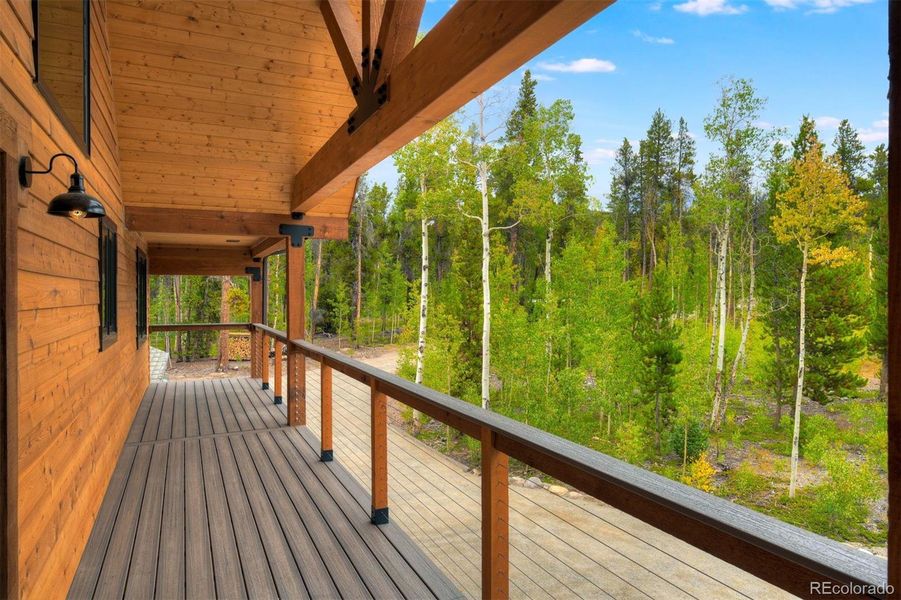 Exterior details and patio area of a home in , Fairplay (Image 3).