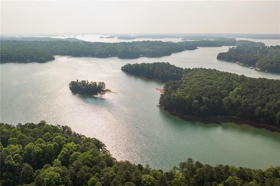 Lake Lanier minutes from your door - Boat Rentals, Margaritaville or Hiking Trails