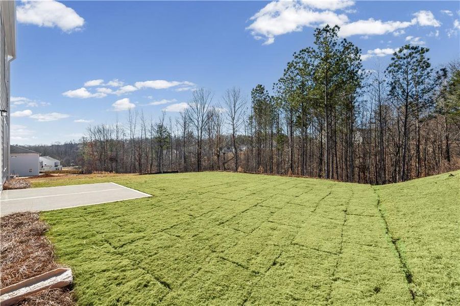 Natural landscape and outdoor views near Hunters Creek in Flowery Branch (Image 40). Natural landscape and outdoor views near Hunters Creek in Flowery Branch (Image 40).