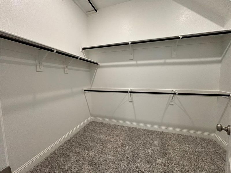 Spacious closet with carpet flooring