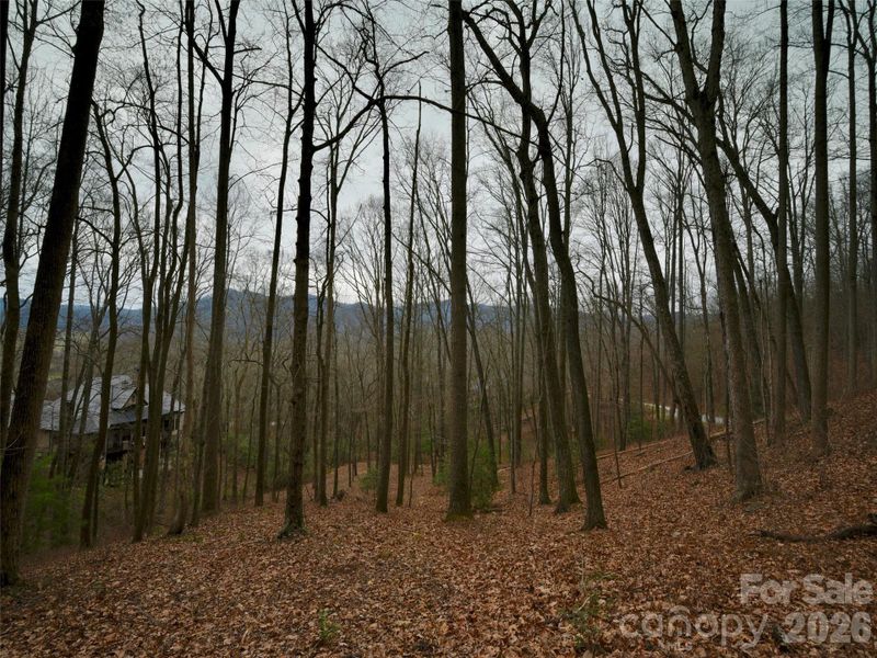 Natural landscape and outdoor views near in Arden (Image 11). Natural landscape and outdoor views near in Arden (Image 11).