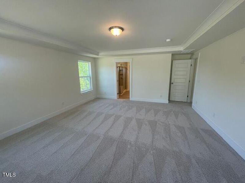 Large Primary Bedroom Large Primary Bedroom