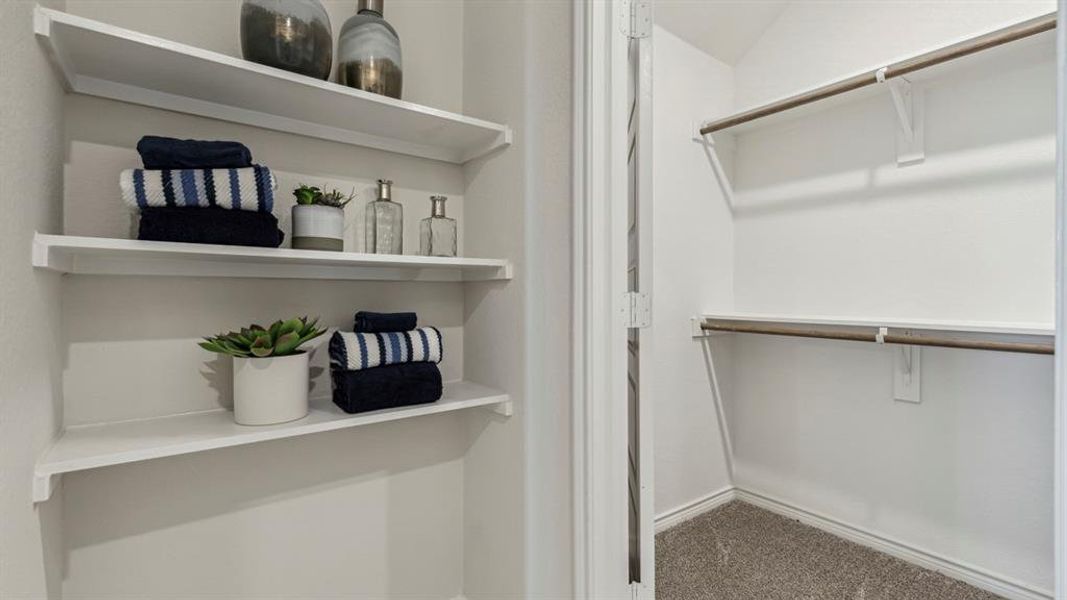 The property features a closet with white walls and carpeted flooring, along with built-in shelves and hanging rods for organization