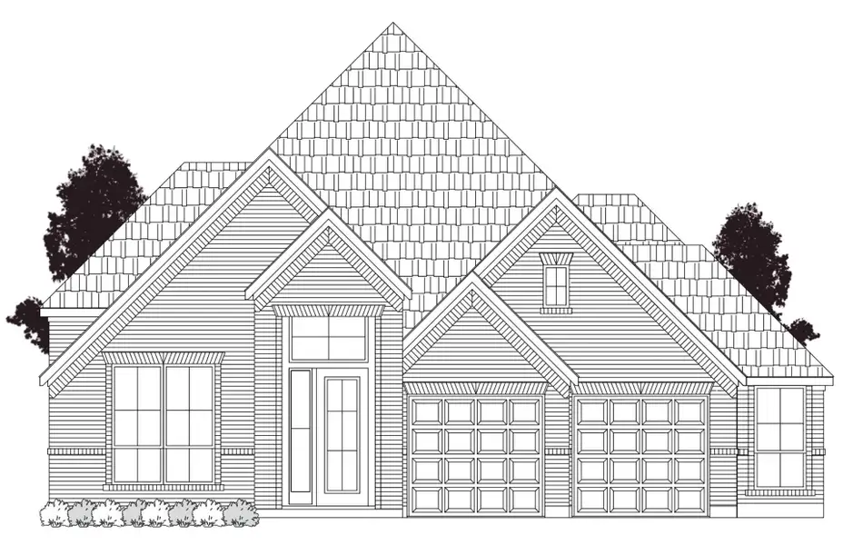 **Representative photo** **Representative photo**