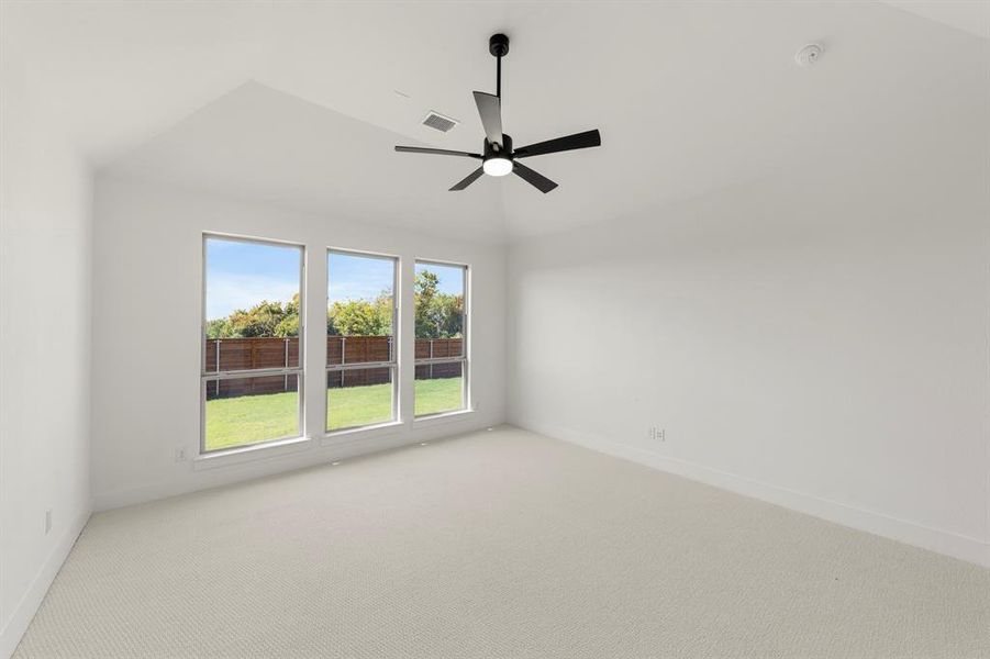 20. 1708 Possum - Primary 20. 1708 Possum - Primary