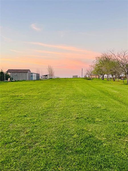 Natural landscape and outdoor views near  in Wills Point (Image 23).